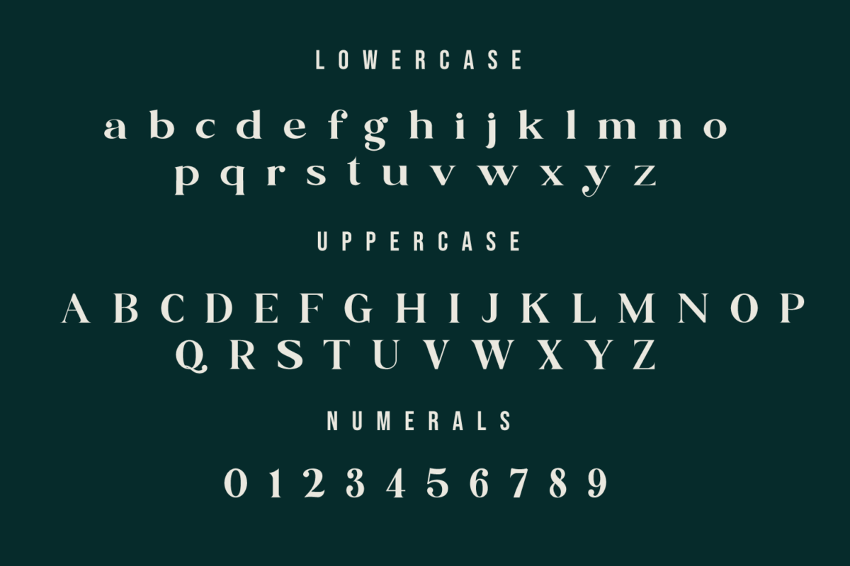 Blue Village Modern Serif Font Preview 11