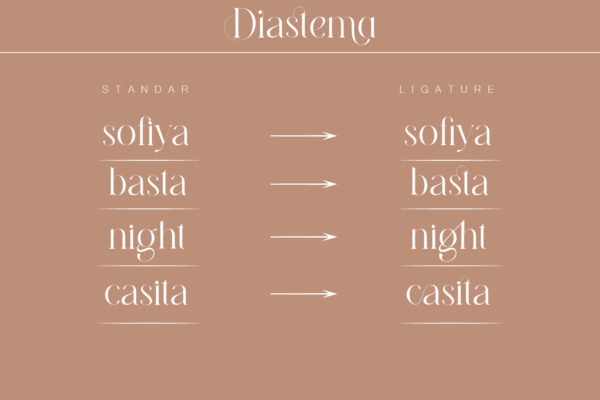 Diastema Modern Ligature Serif Font Preview 08