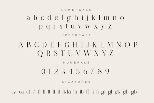 Diastema Modern Ligature Serif Font Preview 12 1