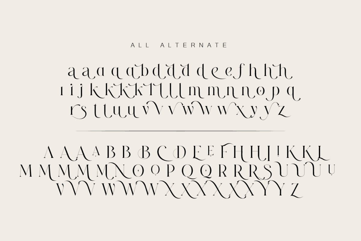 Diastema Modern Ligature Serif Font Preview 14