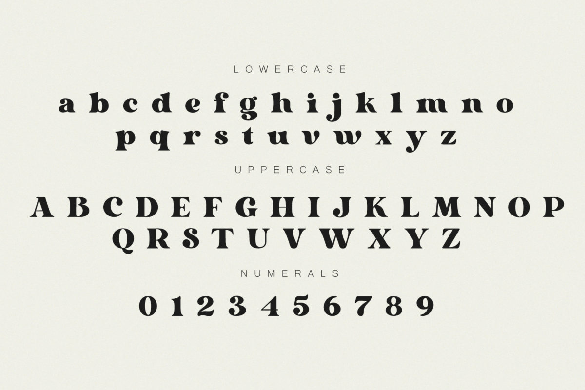 Dorige Modern Retro Serif Font Preview 11