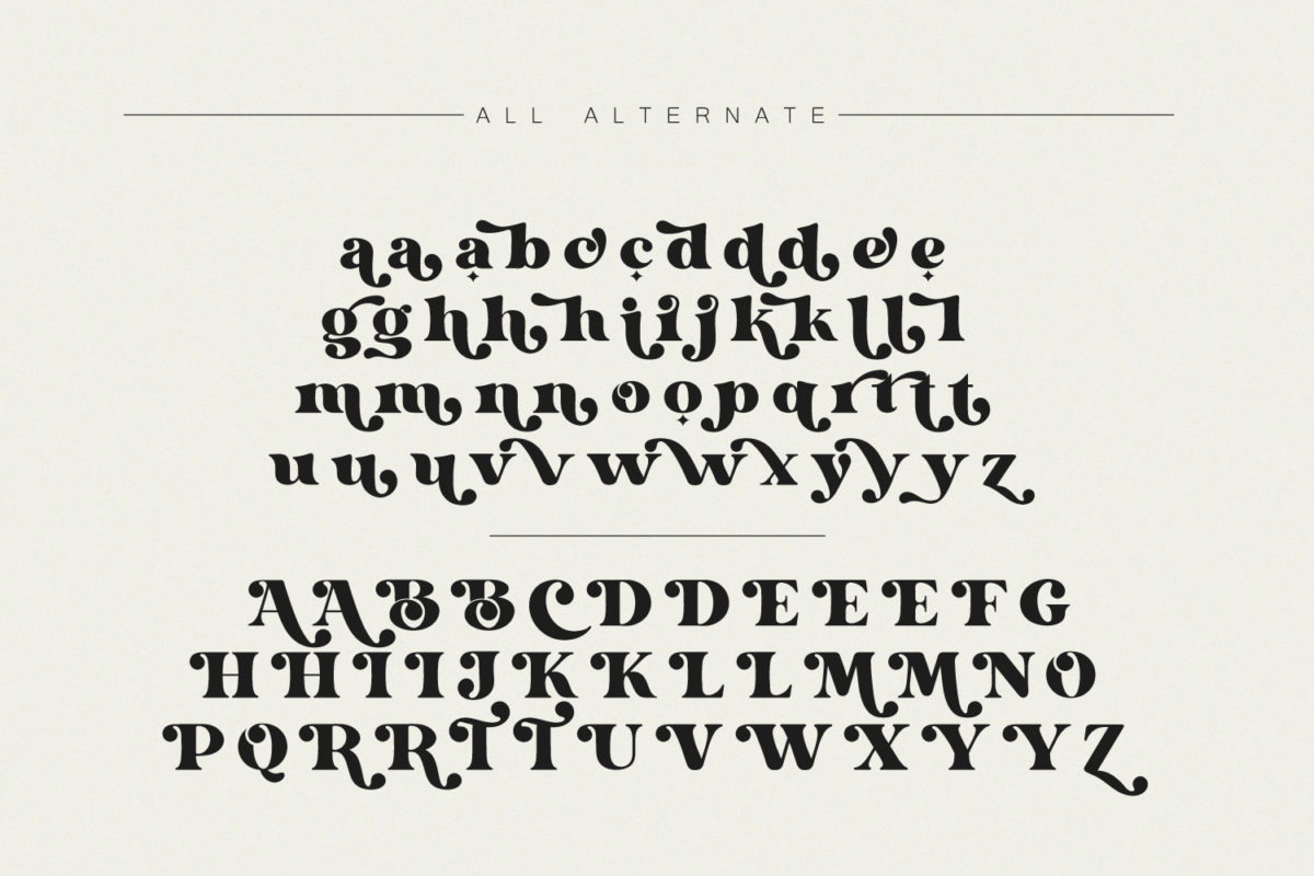 Dorige Modern Retro Serif Font Preview 13