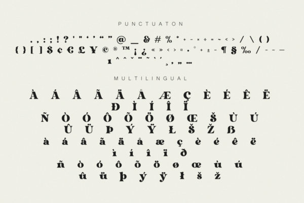 Dorige Modern Retro Serif Font Preview 14
