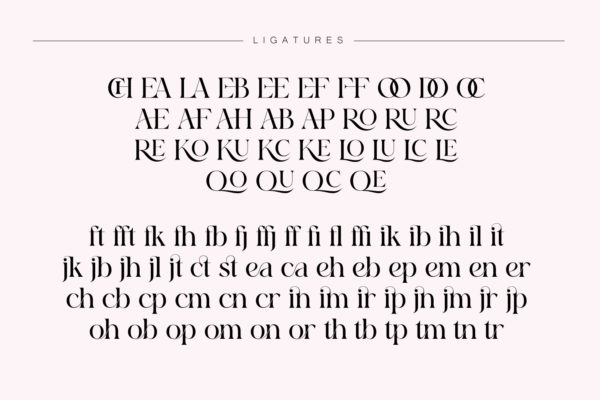 Bomiro Modern classy serif font Preview 14