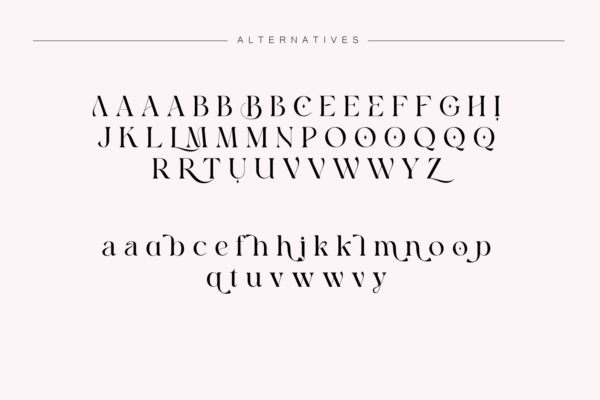 Bomiro Modern classy serif font Preview 15