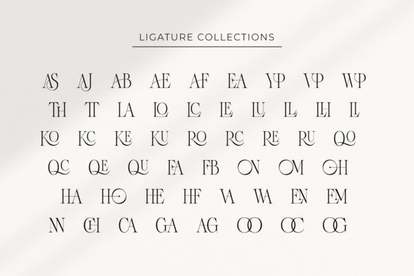 Onirom Modern Ligature Serif Font Preview 13